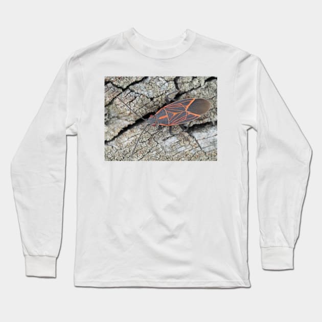 Western boxelder bug Long Sleeve T-Shirt by SDym Photography